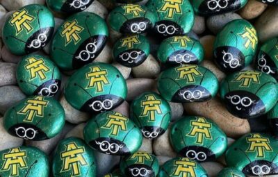 ATU Ladybug Rocks by ATU_rocks