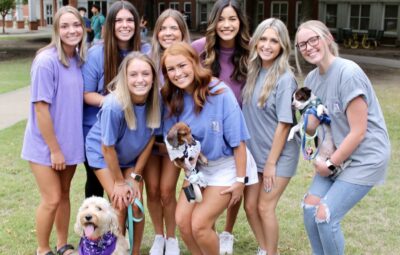 Piper With Some Friends and Some Dogs