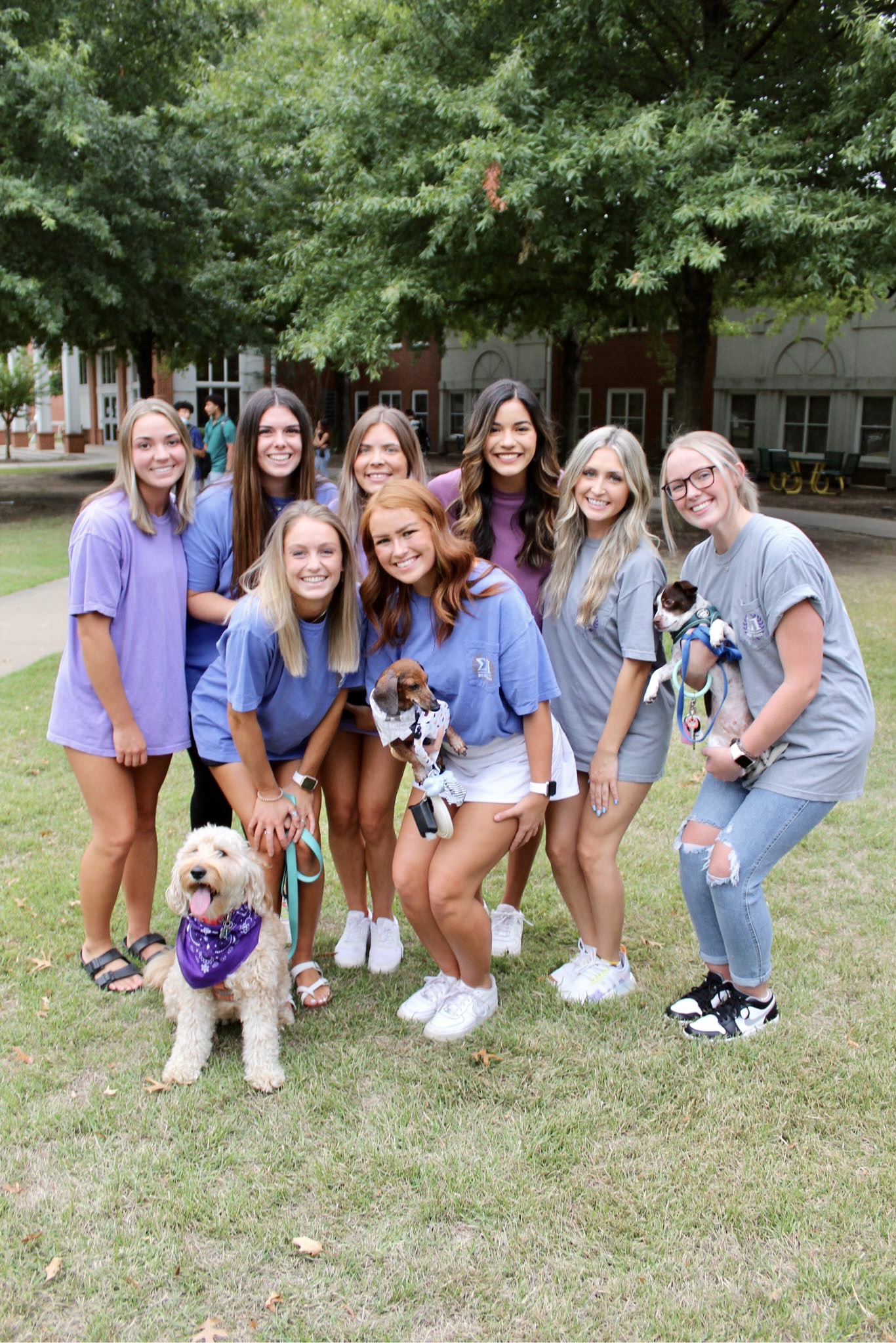 Piper With Some Friends and Some Dogs