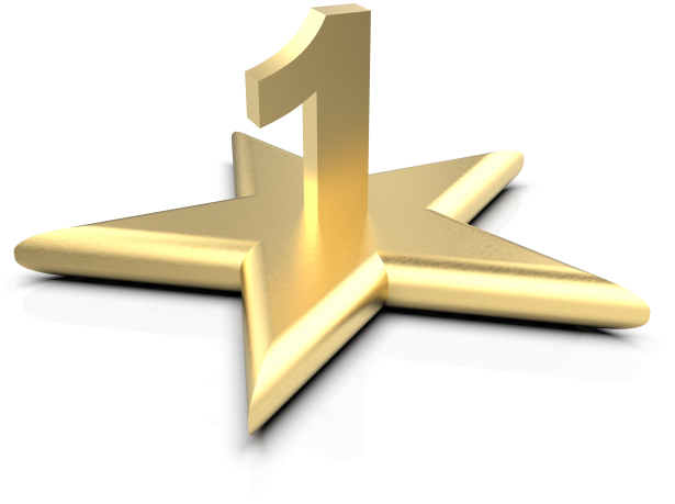 1 in Gold Star