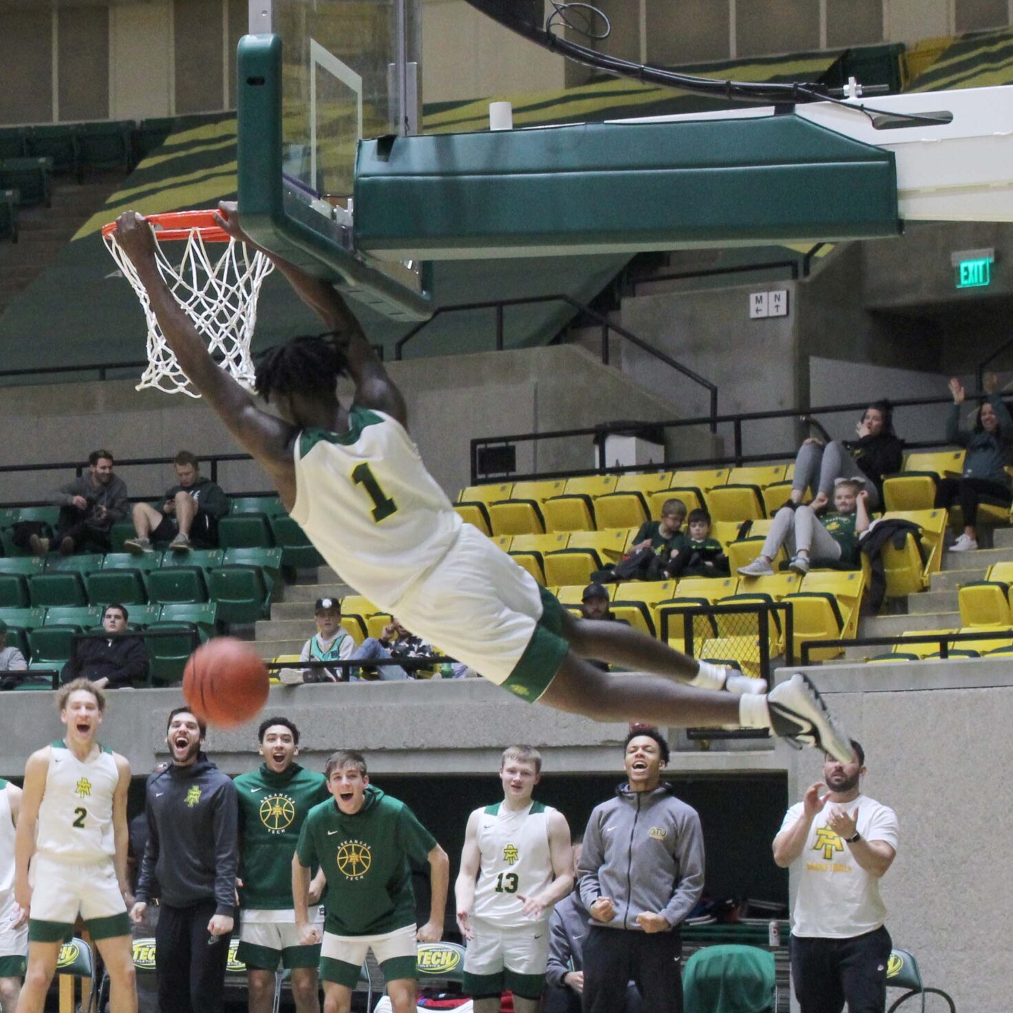 Wonder Boy Slam Dunking