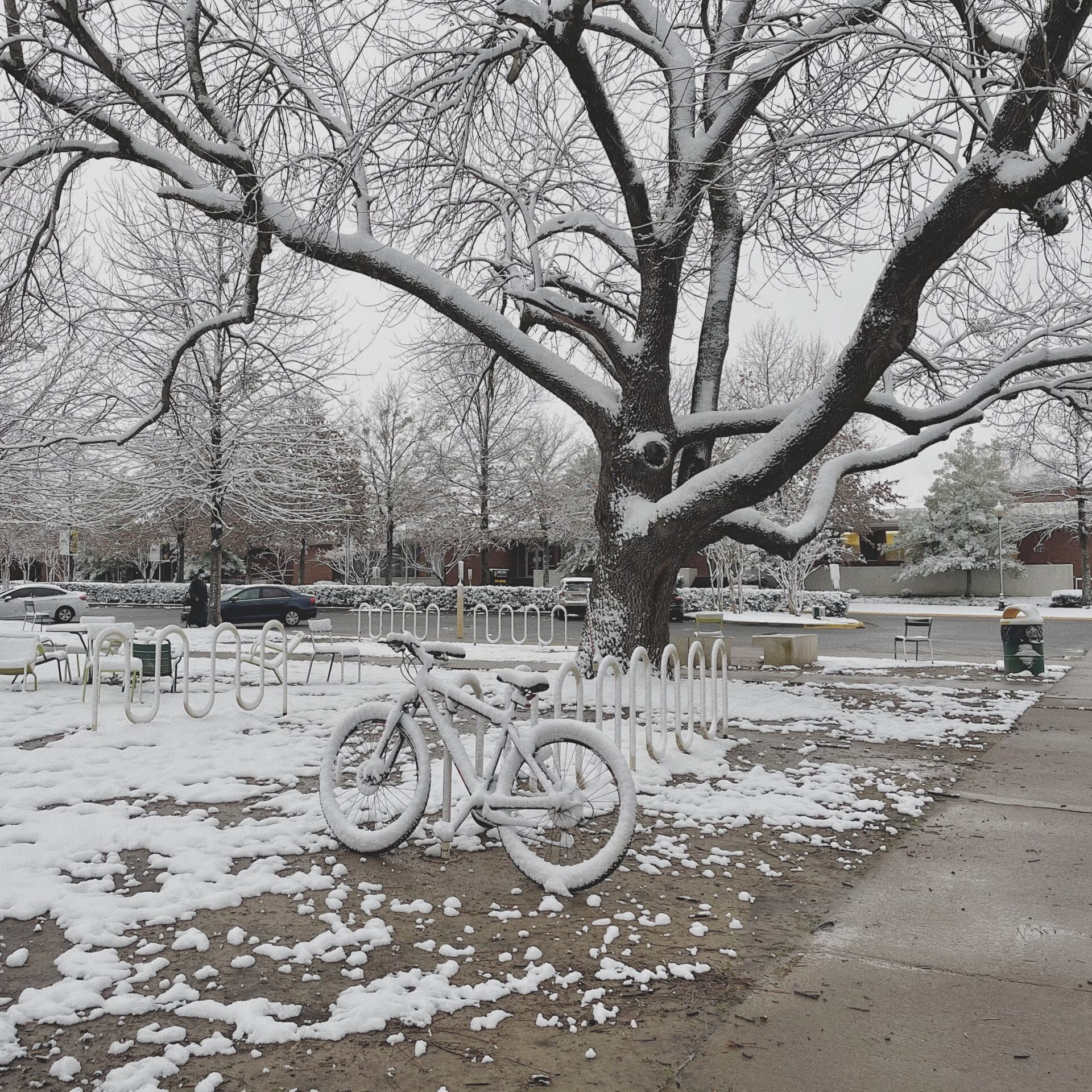 ATU Snow Day