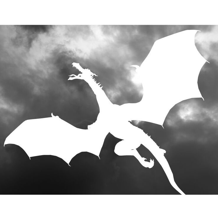 Dragon Graphic