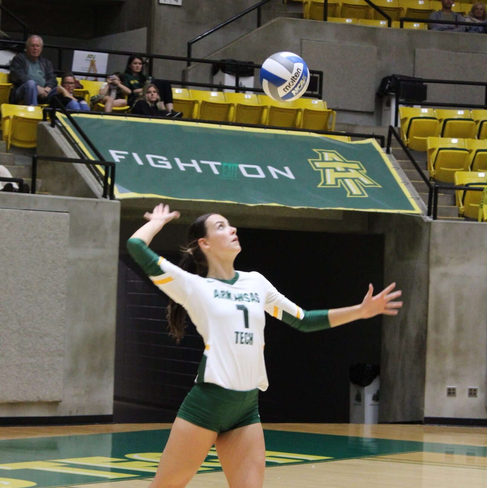 Golden Suns Voleyball Player