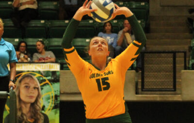 Golden Sun Playing Volleyball