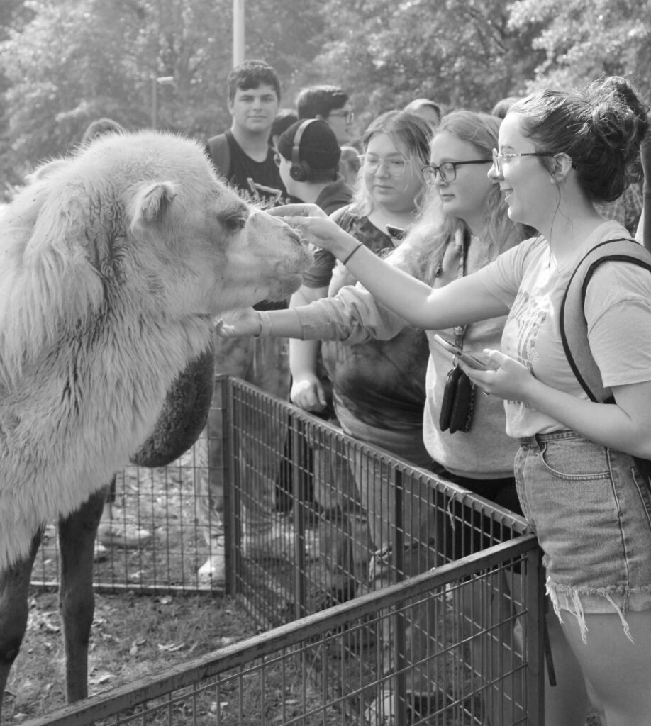 Students Petting the Baby Camel