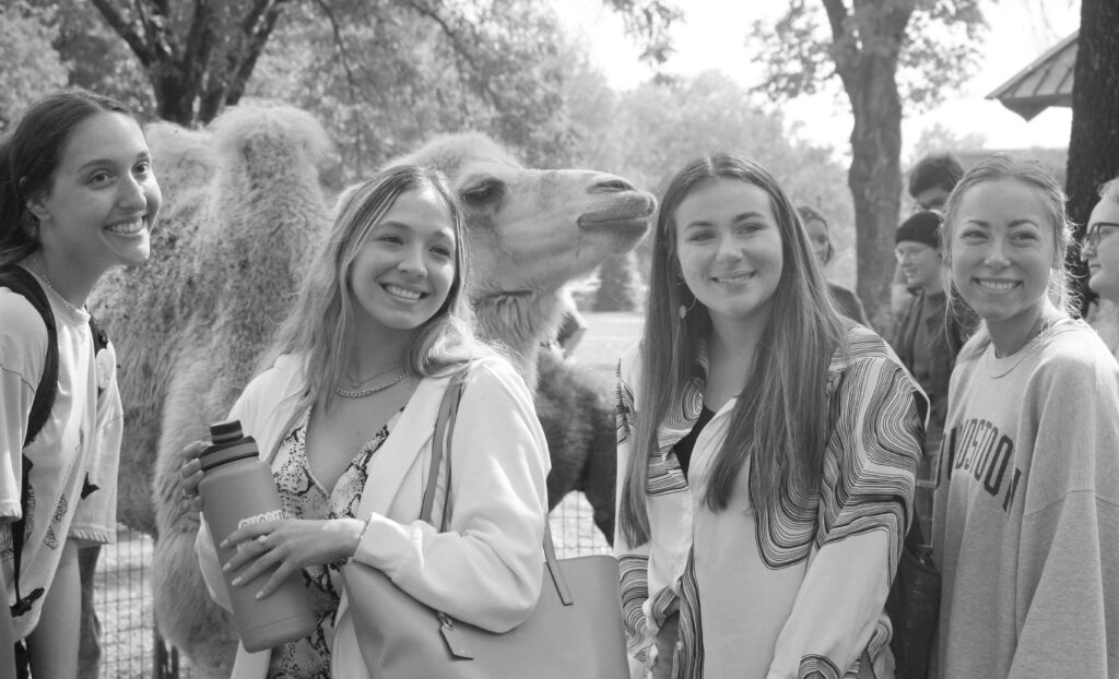 Students Taking Selfie With Camel
