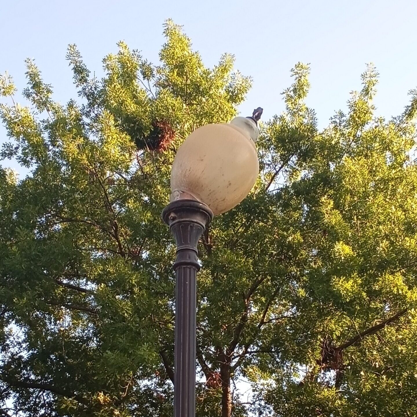 Broken Light on Campus
