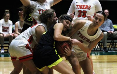 Golden Suns Tussle Over a Basketball