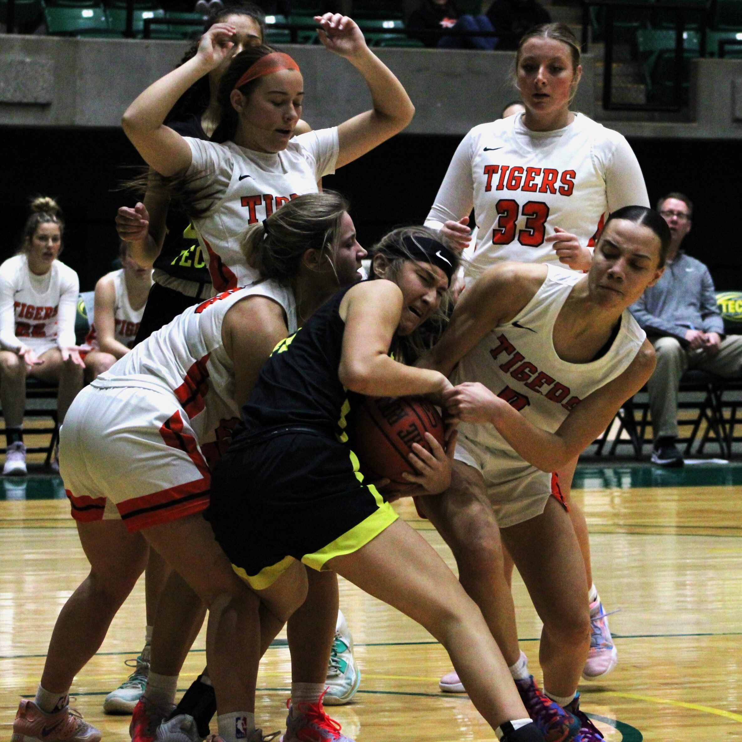 Golden Suns Tussle Over a Basketball