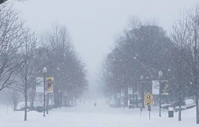 Snow Photo