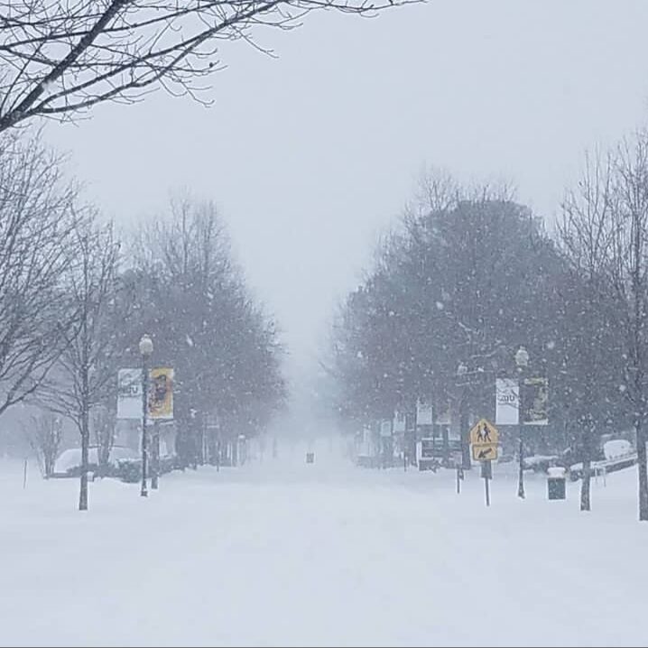 Snow Photo