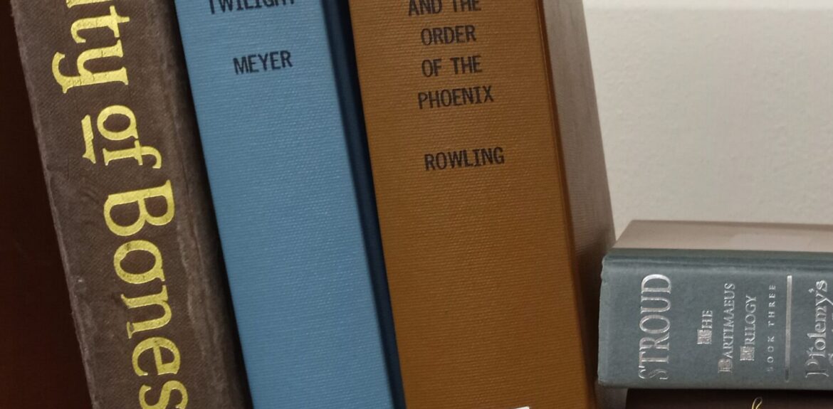 Books on a Shelf