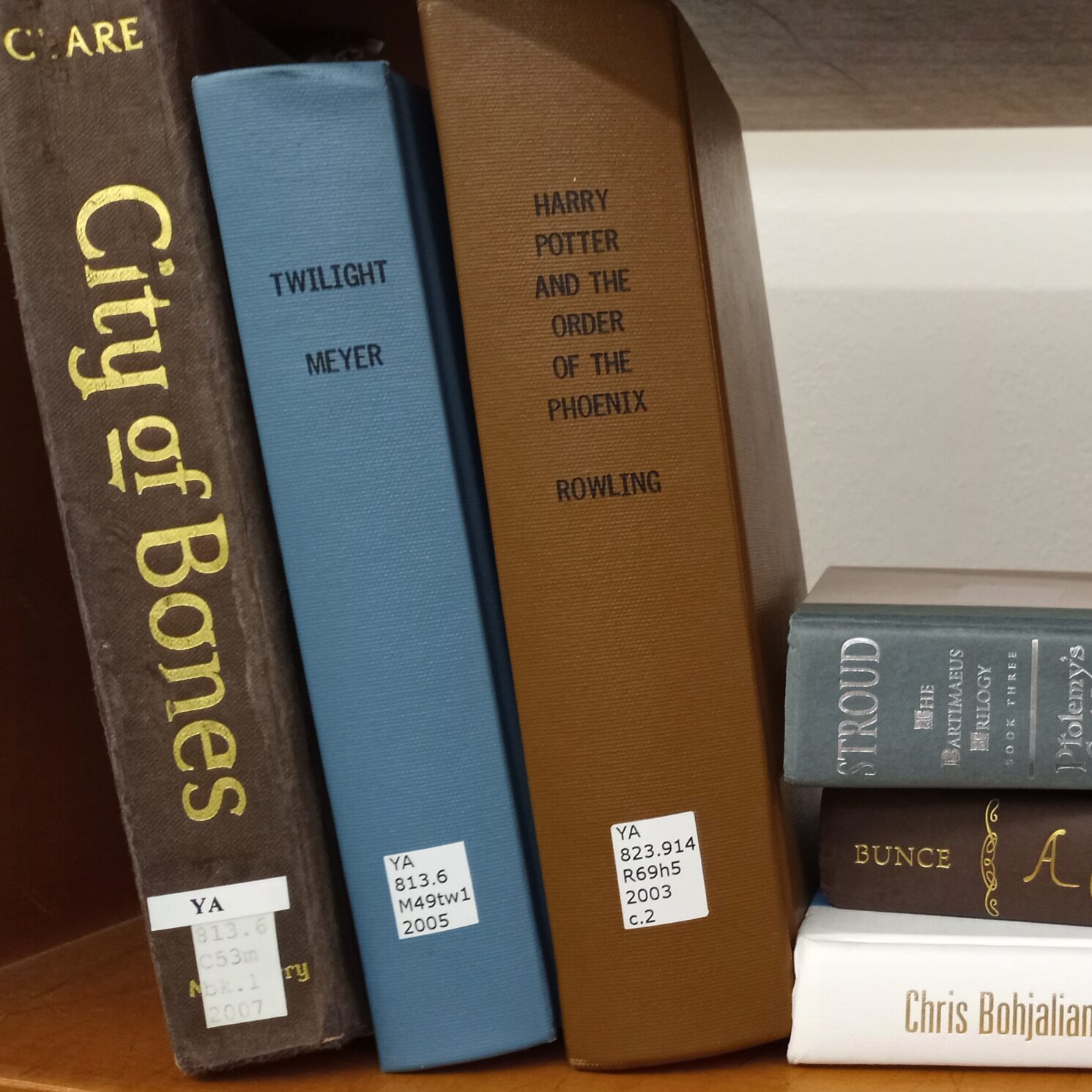 Books on a Shelf