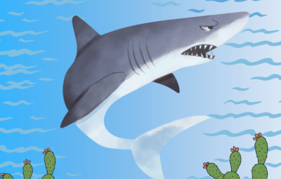 Angry Shark